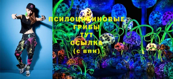 PSILOCYBIN Беломорск