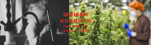 PSILOCYBIN Беломорск