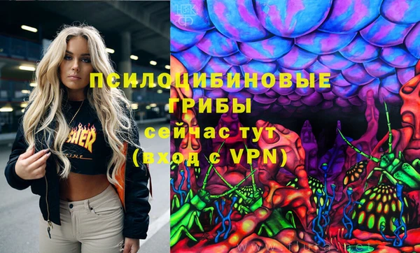 ешки Бронницы