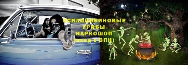 ешки Бронницы