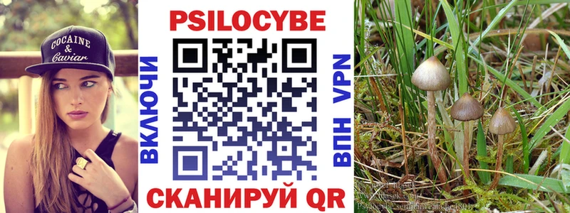 Галлюциногенные грибы MAGIC MUSHROOMS  закладка  Ефремов 