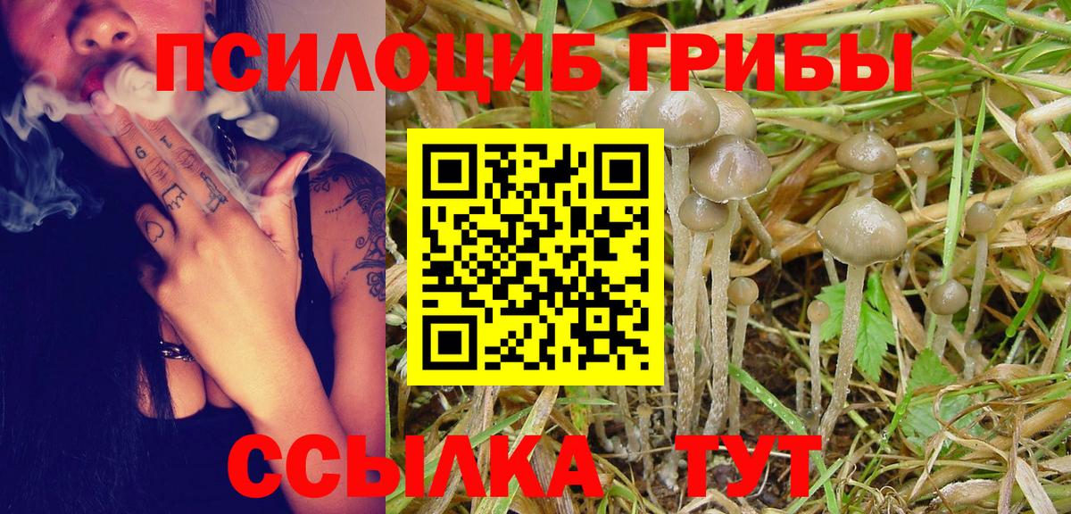 Галлюциногенные грибы Magic Shrooms  Псилоцибиновые грибы Cubensis  Вход с VPN  Ефремов 