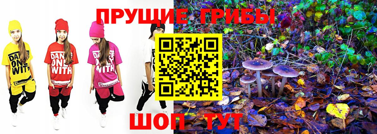 Псилоцибиновые грибы Magic Shrooms Ефремов