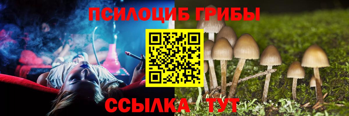 Галлюциногенные грибы Psilocybine cubensis  Ефремов 