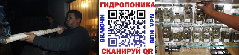 Шишки марихуана AK-47  мориарти Telegram  Ефремов 