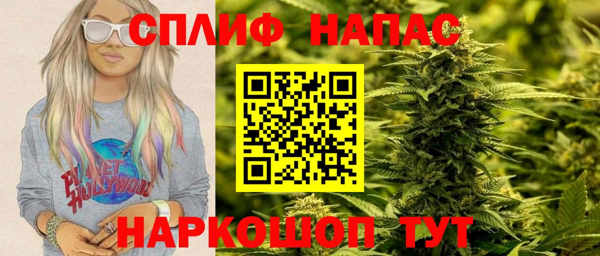 Конопля OG Kush Ефремов