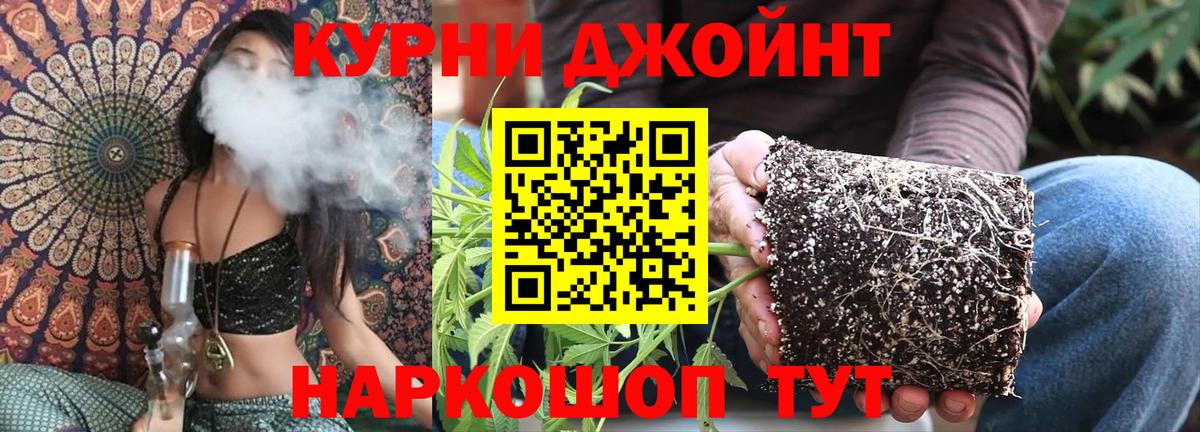 Канабис Ganja  Ефремов  Шишки марихуана LSD WEED  Каннабис гибрид 